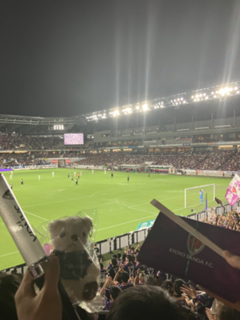 坂井先生5.png