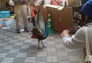 IMG01123.jpg