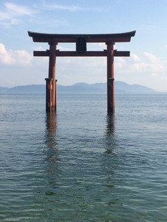 image1.jpeg